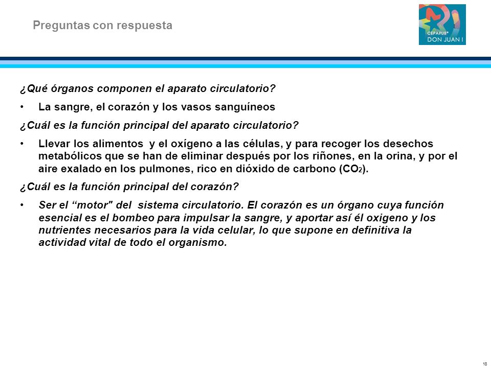 Sistema del cuestionario las del son cardiovascular? funciones ¿Cuáles